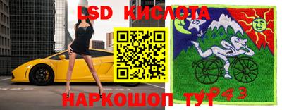 крисы Кунгур