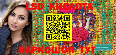 крисы Кунгур