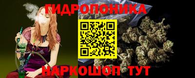 крисы Кунгур