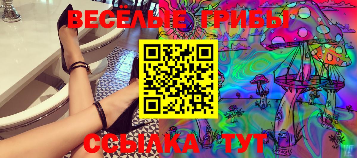 Псилоцибиновые грибы GOLDEN TEACHER Киселёвск
