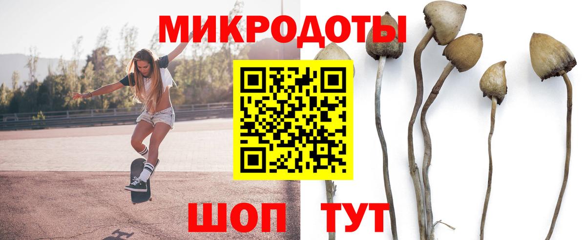 Псилоцибиновые грибы Psilocybe  где продают наркотики  Вход с VPN  Киселёвск  Галлюциногенные грибы MAGIC MUSHROOMS 