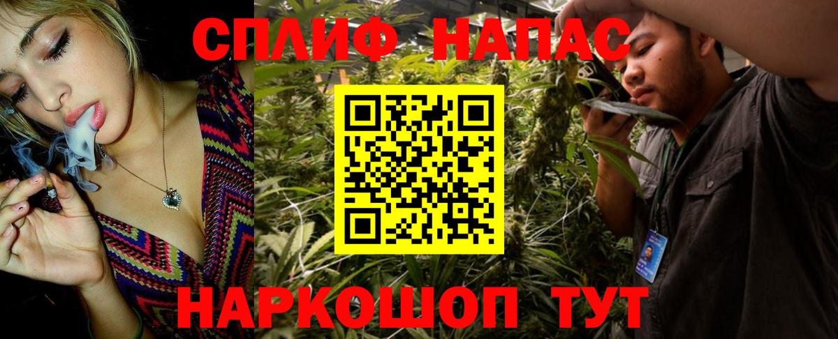Конопля Ganja Киселёвск